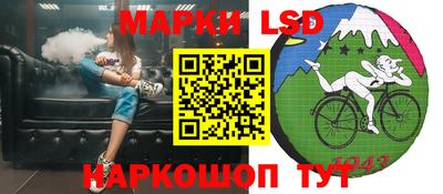 Альфа ПВП Можга