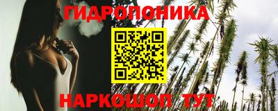 Альфа ПВП Можга