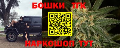 Альфа ПВП Можга