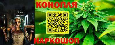 apvp Моздок