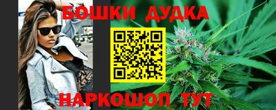 Альфа ПВП Можга