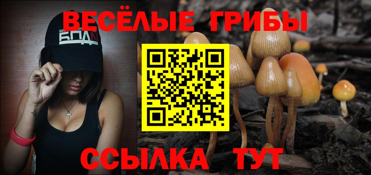 Галлюциногенные грибы GOLDEN TEACHER Советск